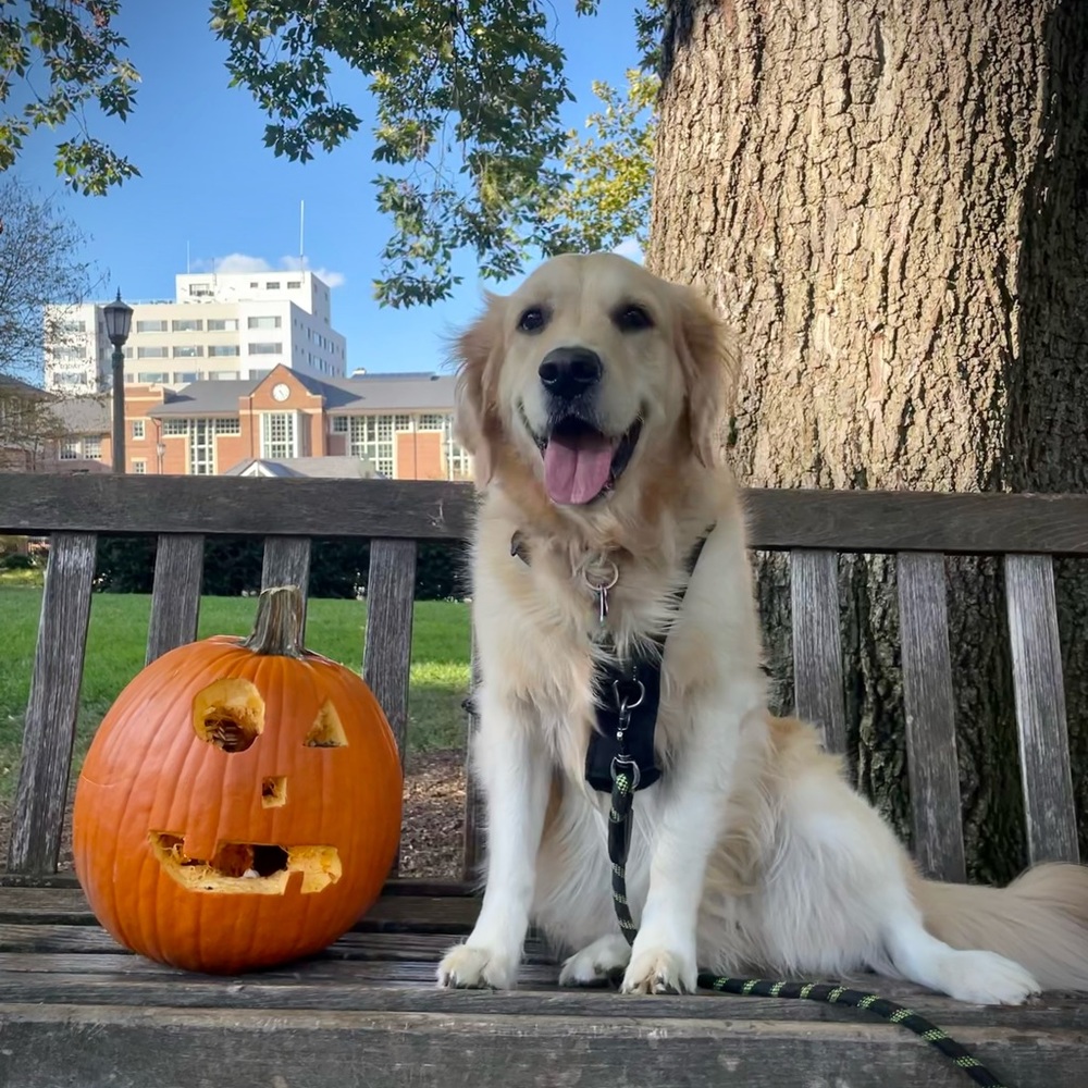 Meet your Posher, Julia